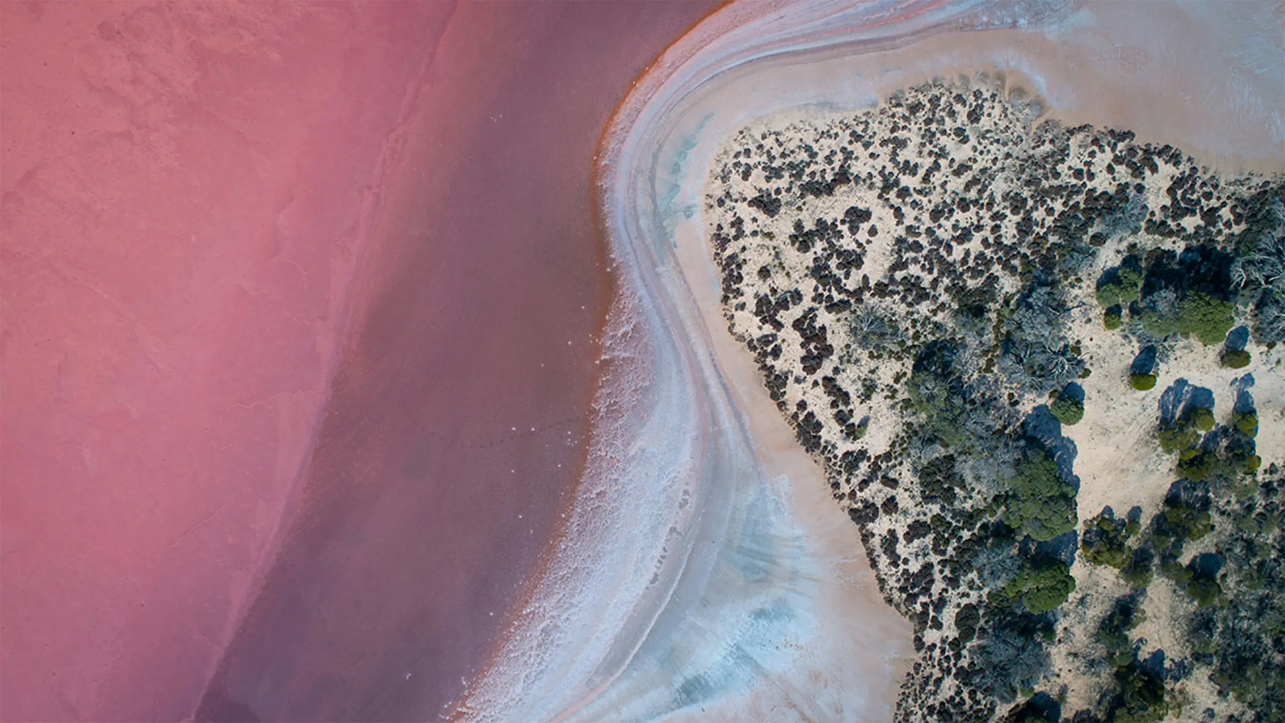 Birds eye view of the pink lake.