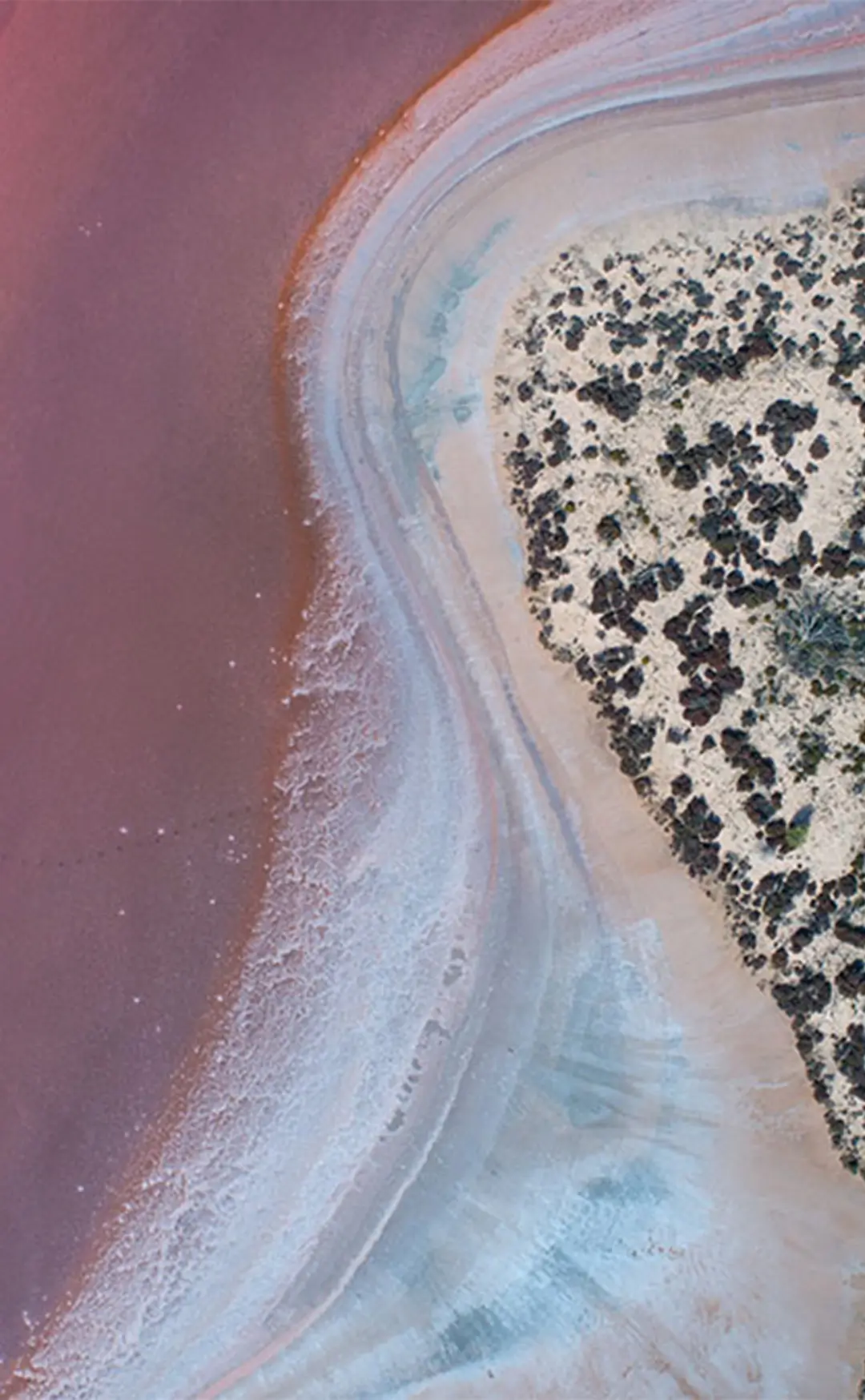 Birds eye view of the pink lake.