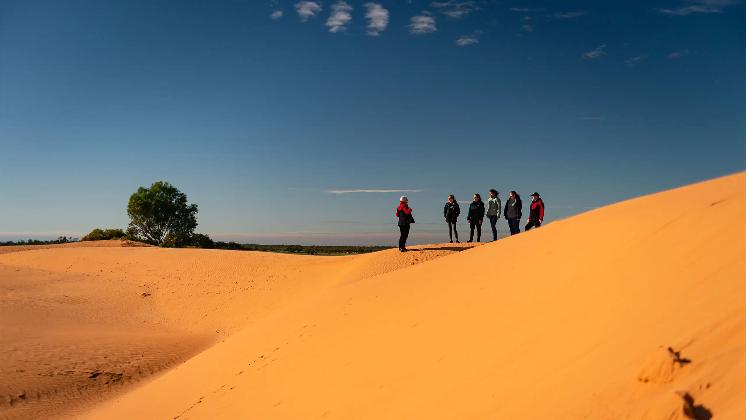 Tour group enjoying the Perry Sandhills. Sand dunes and a tree is also visible in the photo.